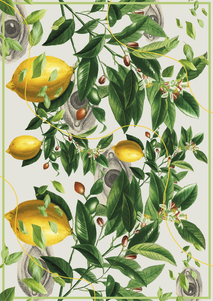 Affish | Lemon