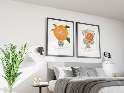 Poster | 'To Greece for oranges'