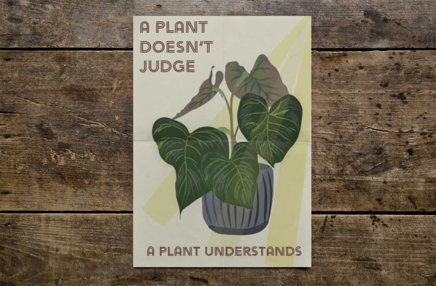 Poster | Philodendron Verrucosum