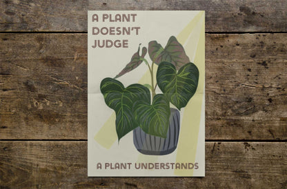 Poster | Philodendron Verrucosum