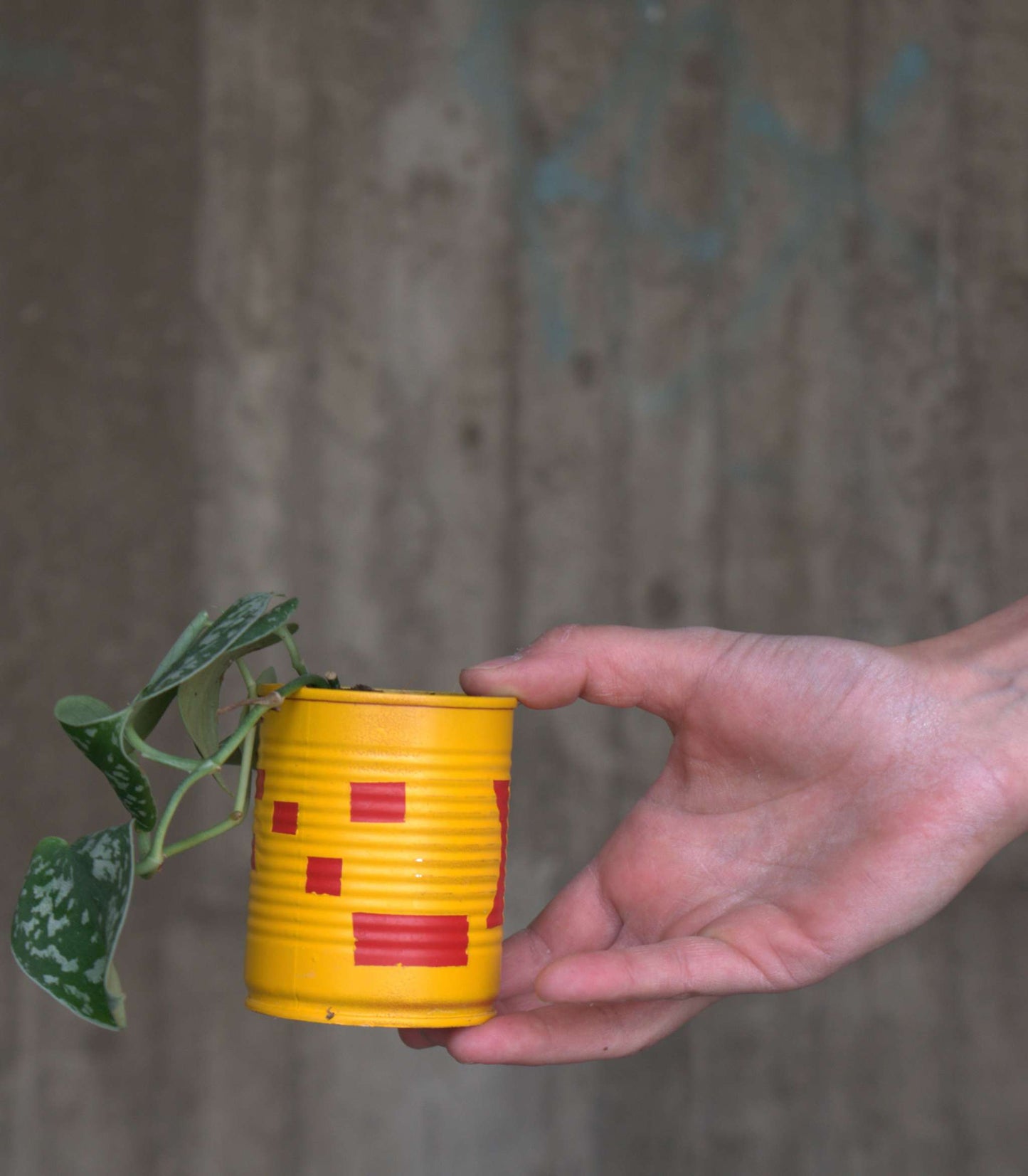 Upcycle pots spring 2024