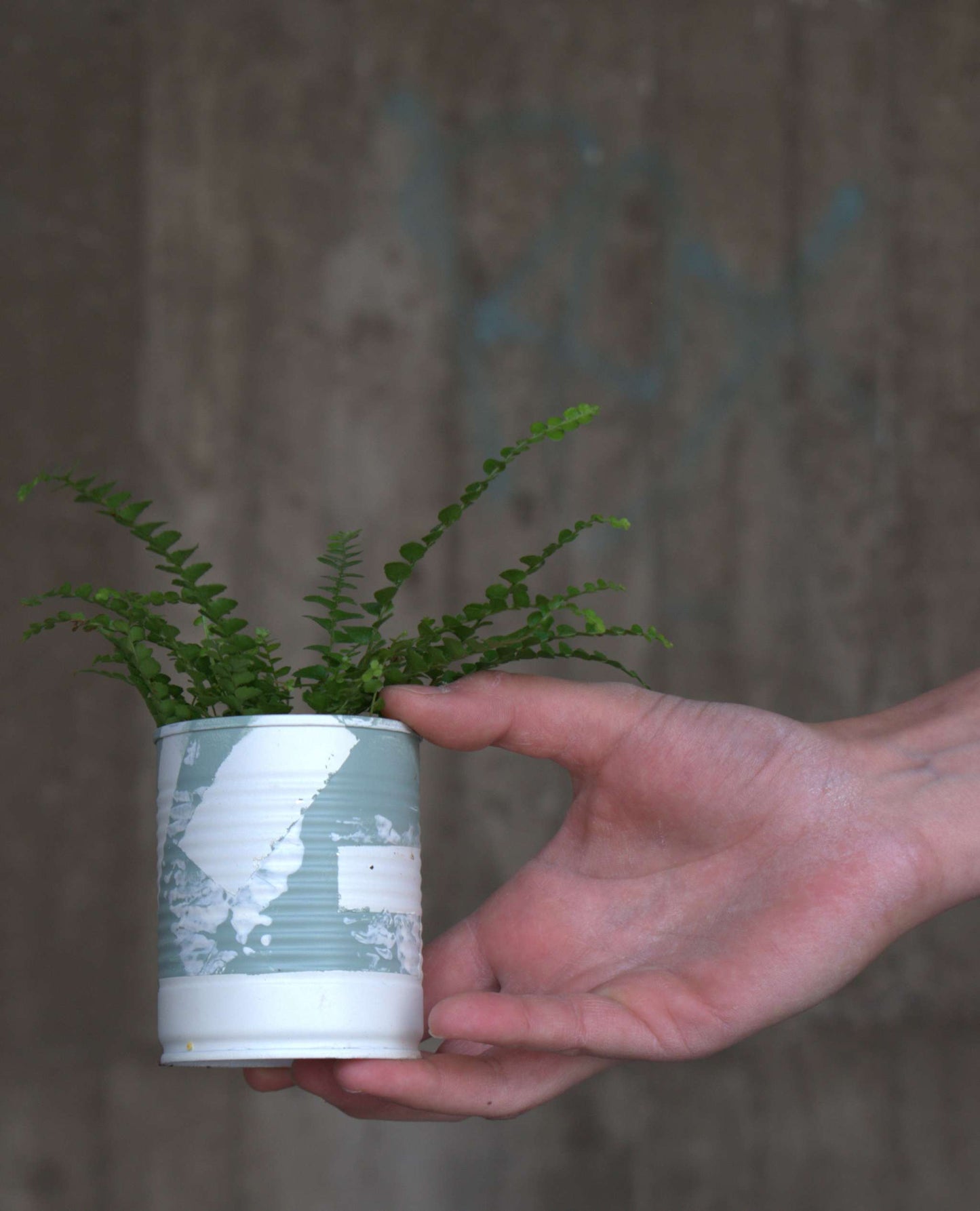 Upcycle pots spring 2024