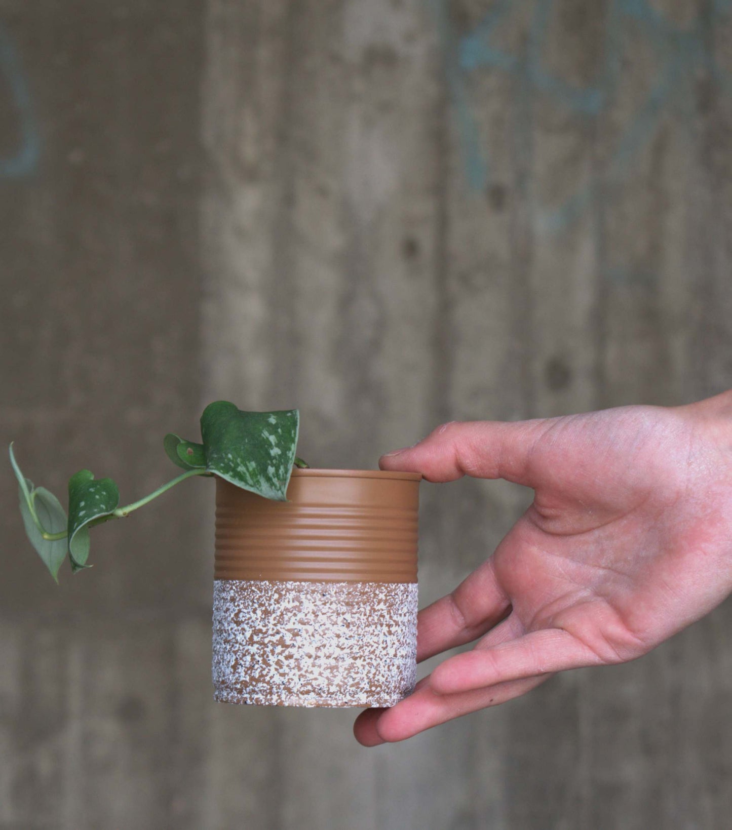 Upcycle pots spring 2024