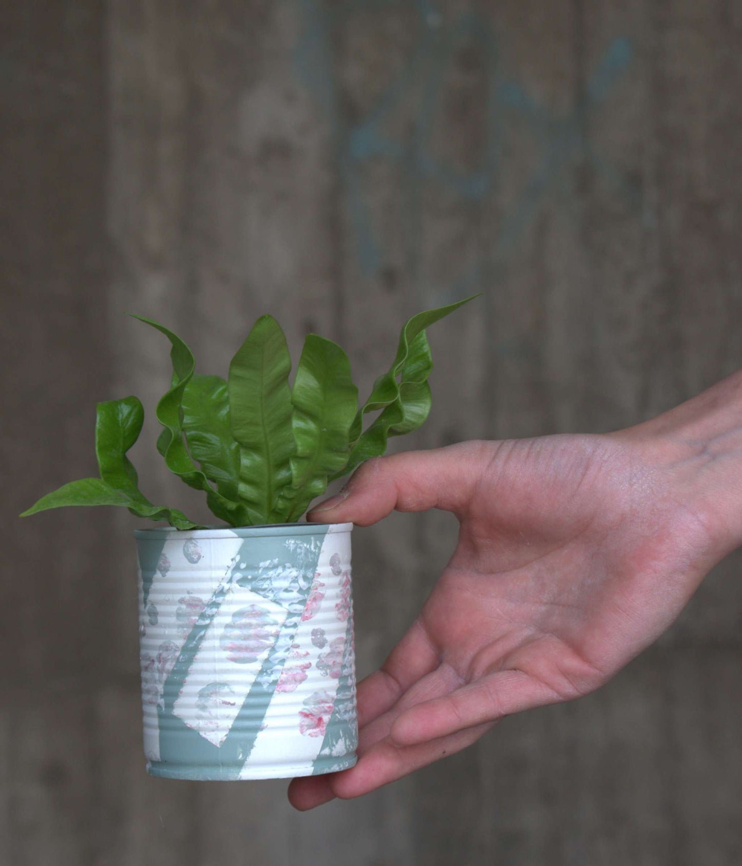 Upcycle pots spring 2024