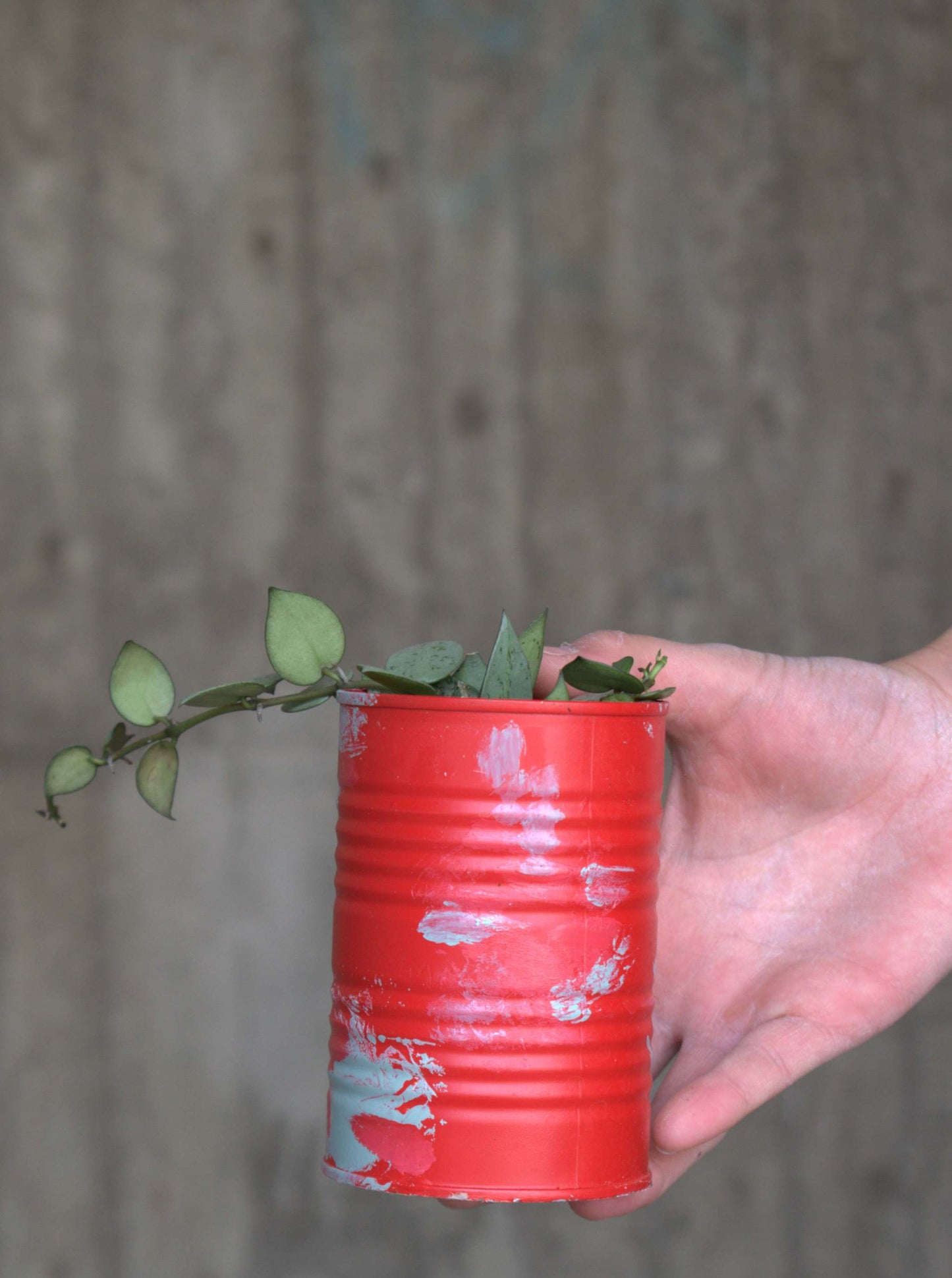 Upcycle pots spring 2024