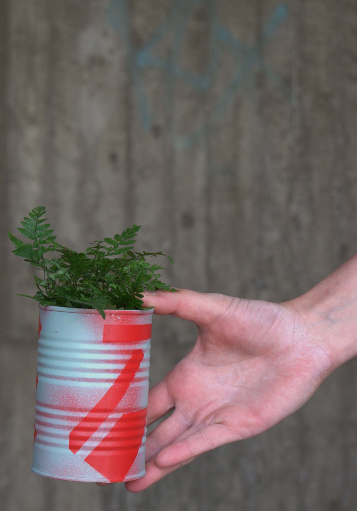 Upcycle pots spring 2024