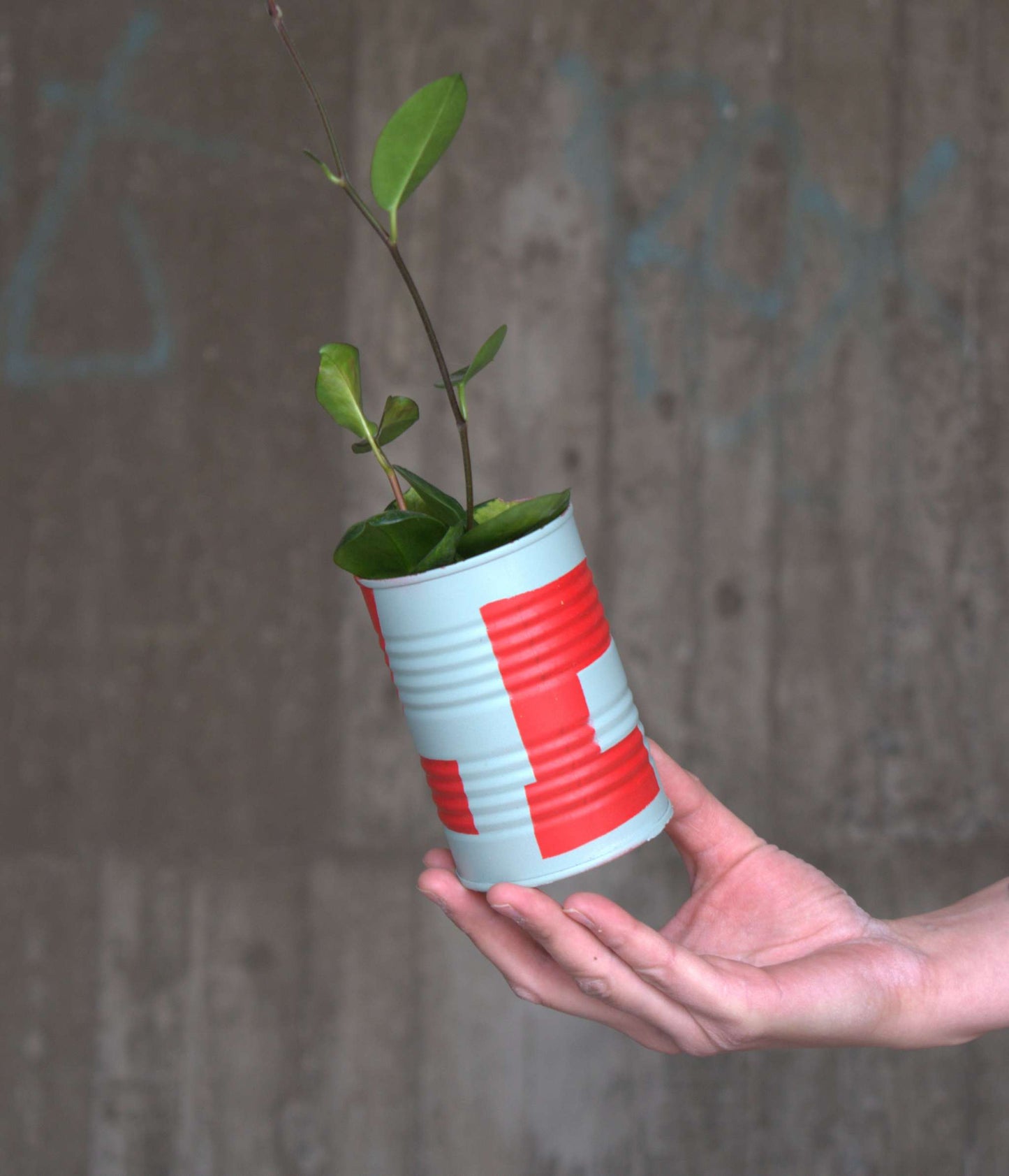 Upcycle pots spring 2024