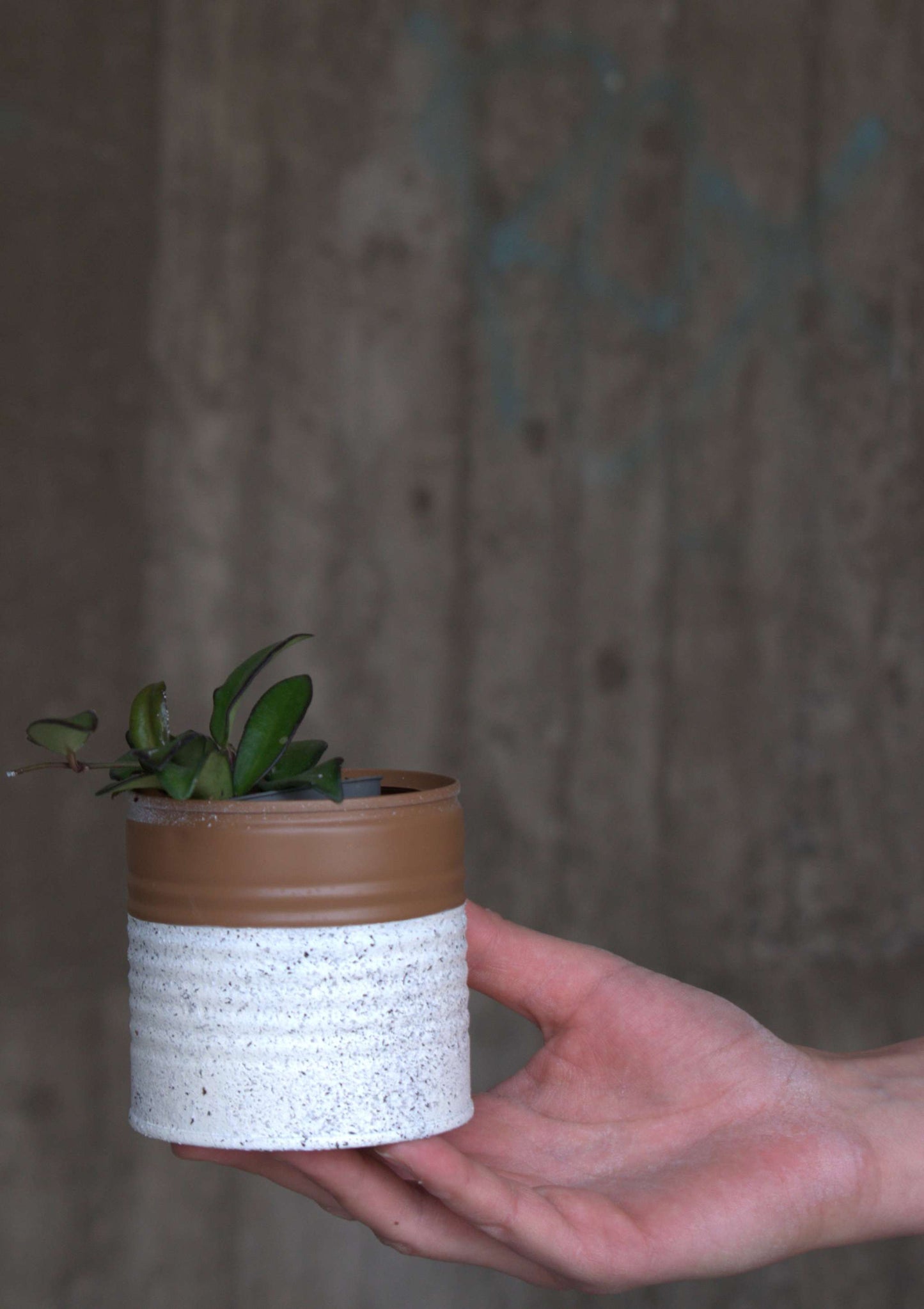 Upcycle pots spring 2024