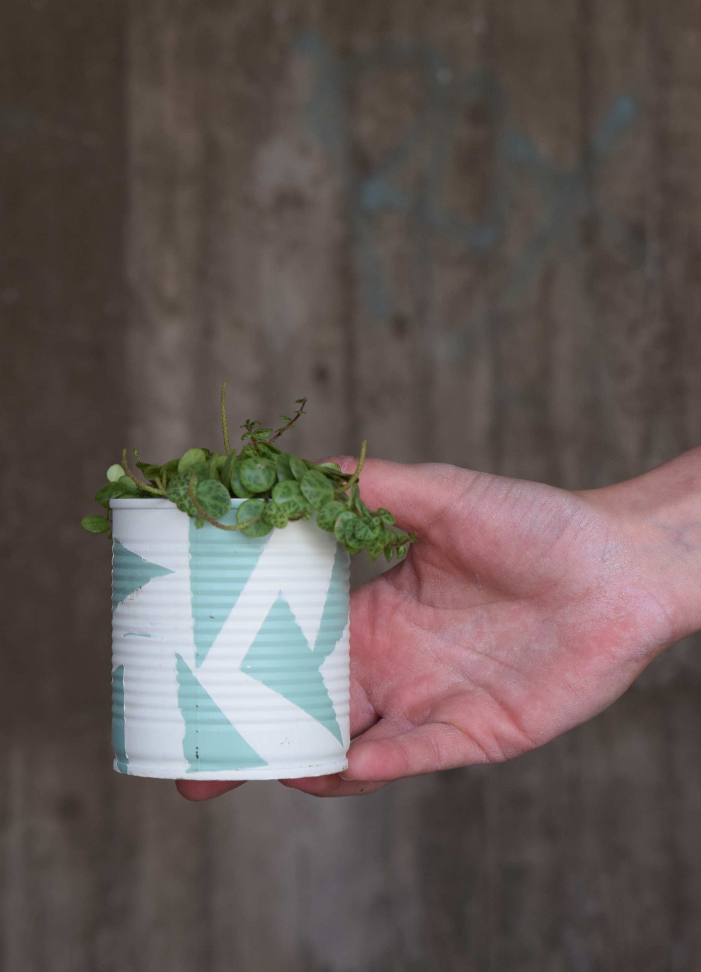 Upcycle pots spring 2024