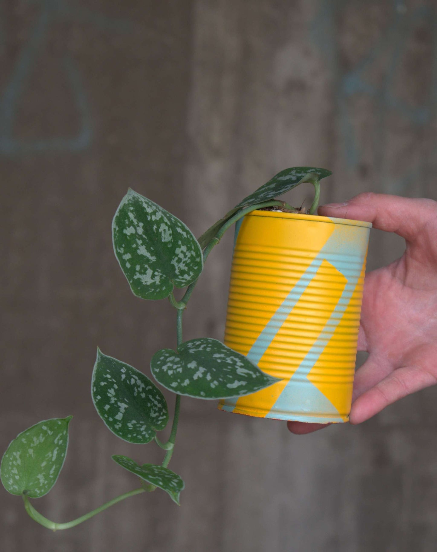 Upcycle pots spring 2024