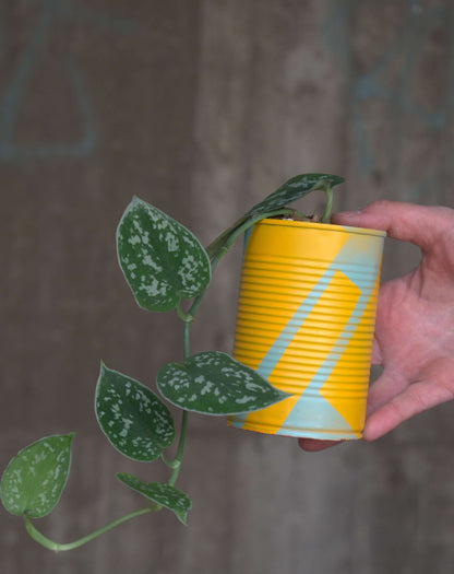 Upcycle pots spring 2024