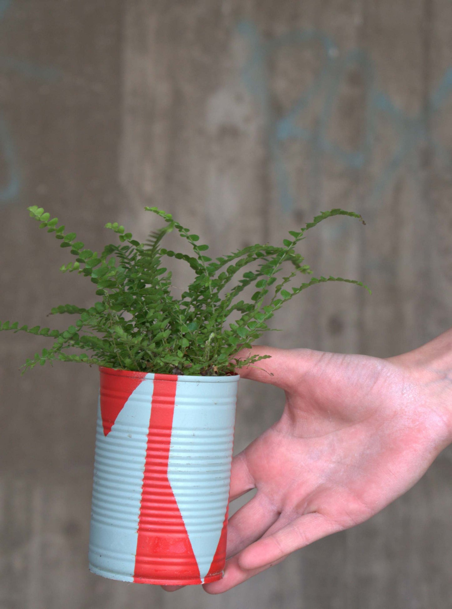 Upcycle pots spring 2024