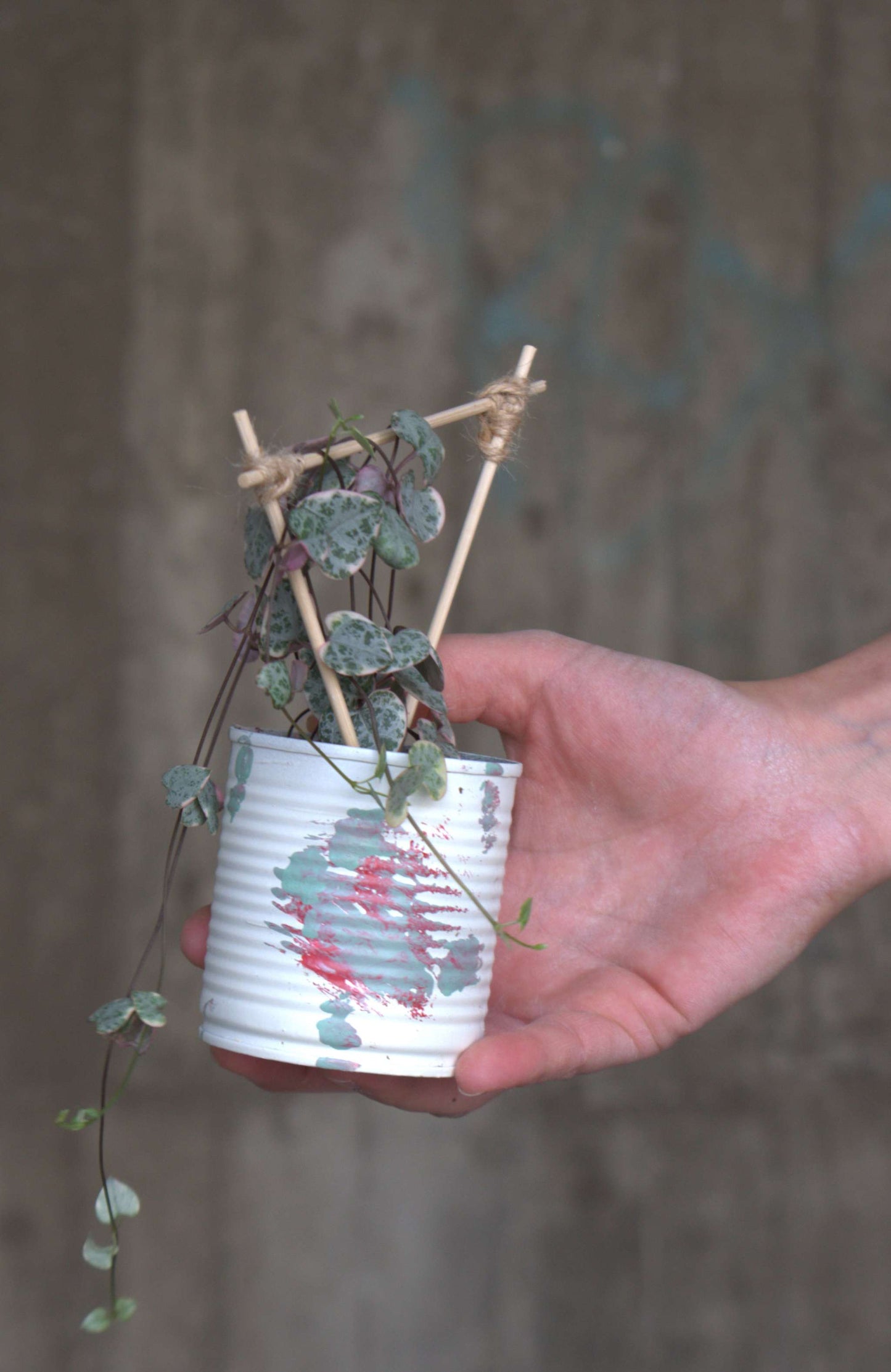 Upcycle pots spring 2024