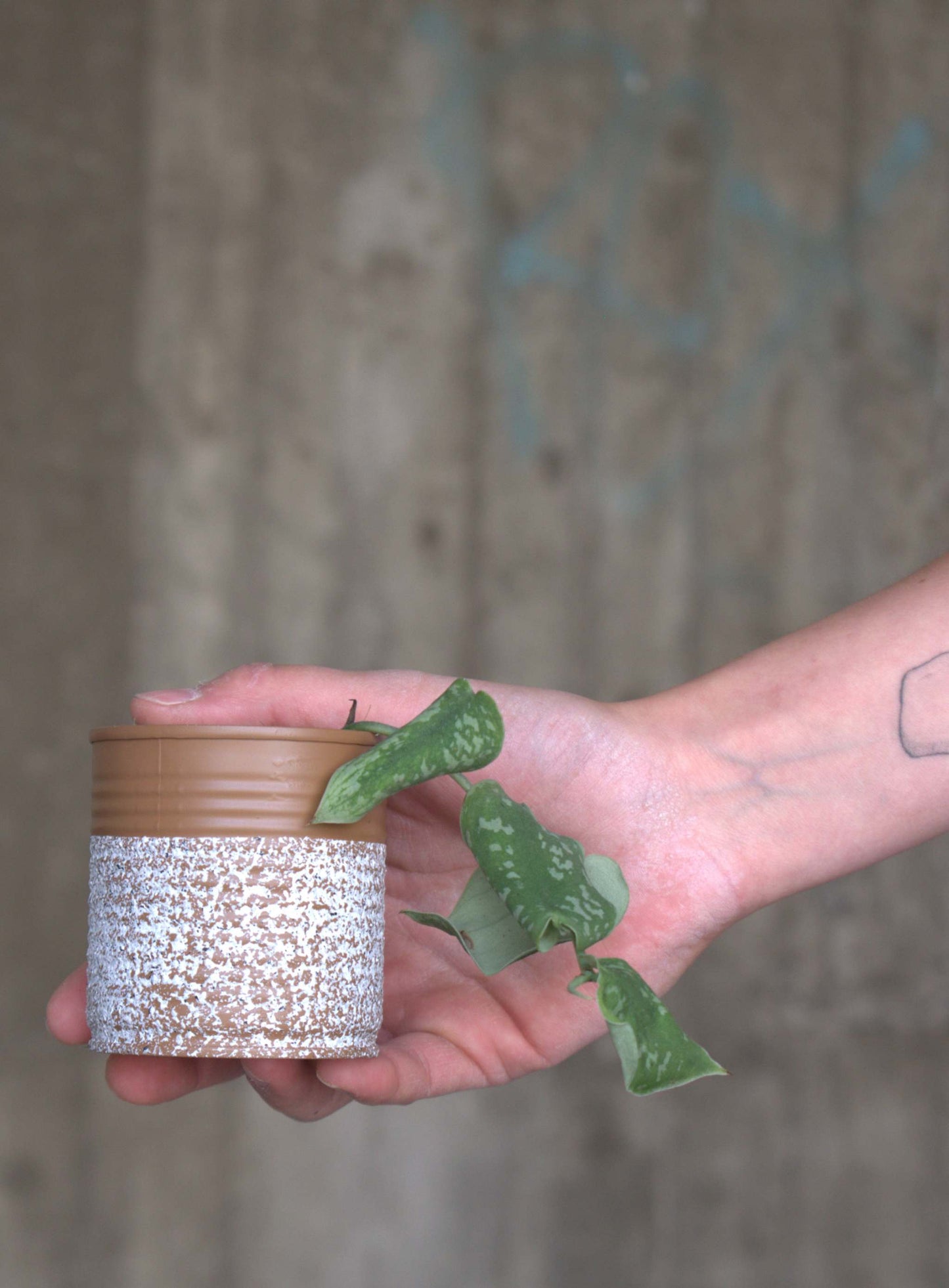 Upcycle pots spring 2024