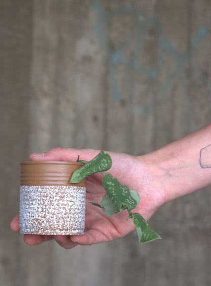 Upcycle pots spring 2024