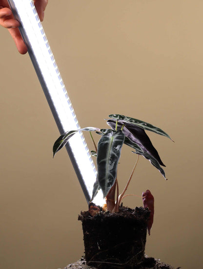 LED Växtbelysning 60cm | 18 W