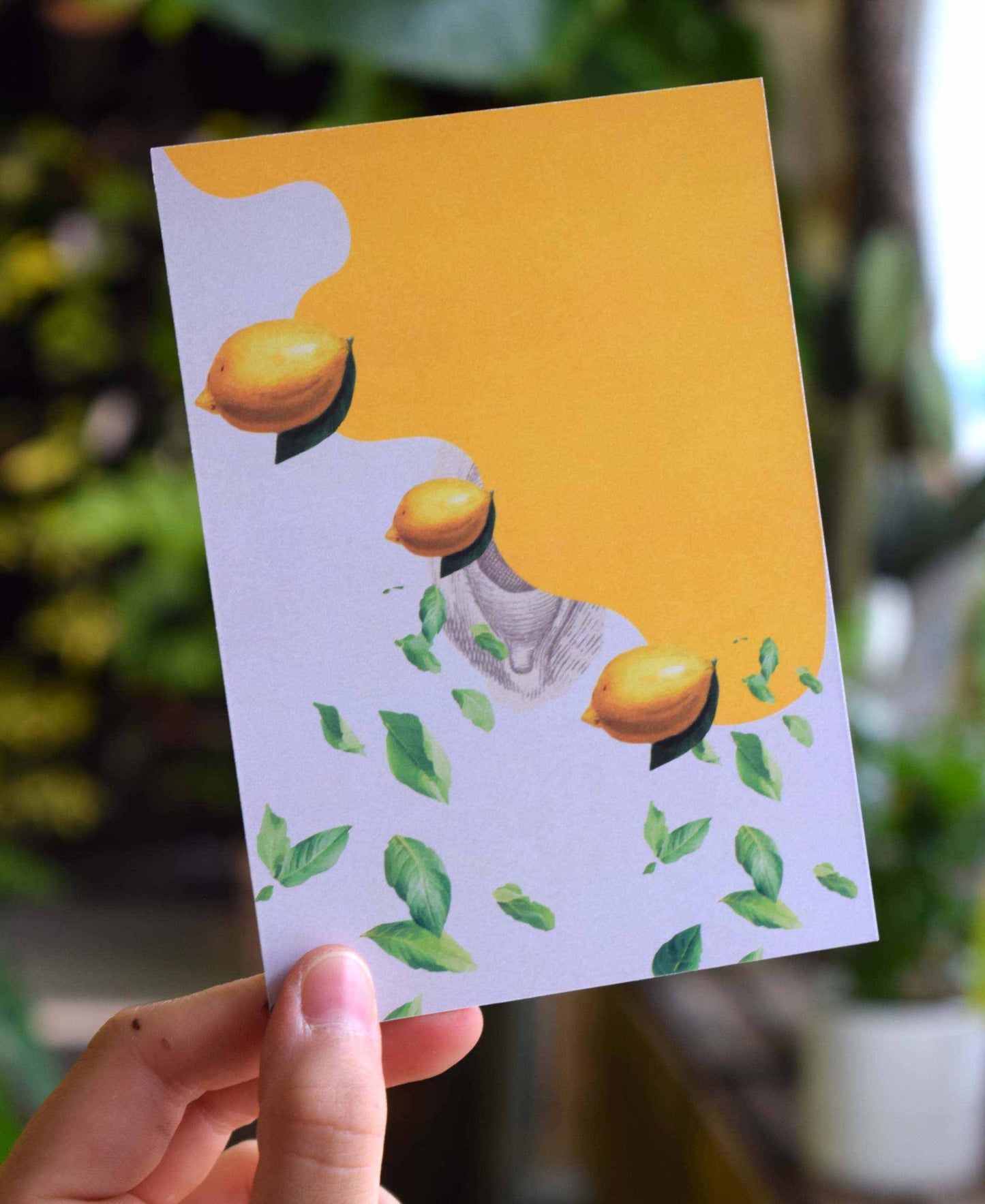 Kort | Lemons