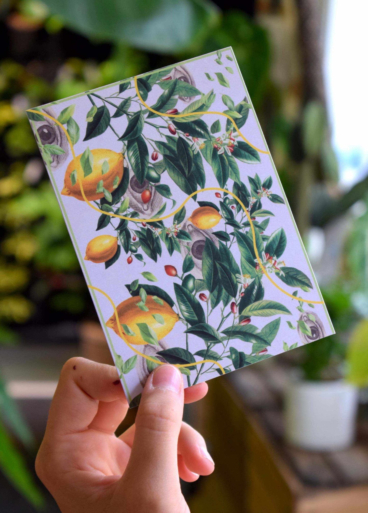 Kort | Lemons