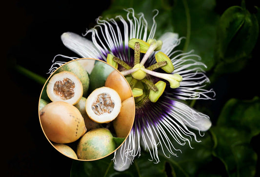 Maracuja/gul passionsfrukt 'Passiflora edulis f. flavicarpa'