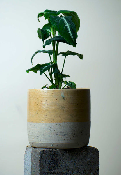 Keramiktopf 'Modern Beige' | 12,5 cm | Steinzeugton