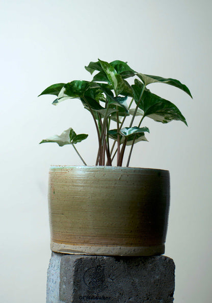 Keramiktopf grau | 13 cm | Steinzeugton