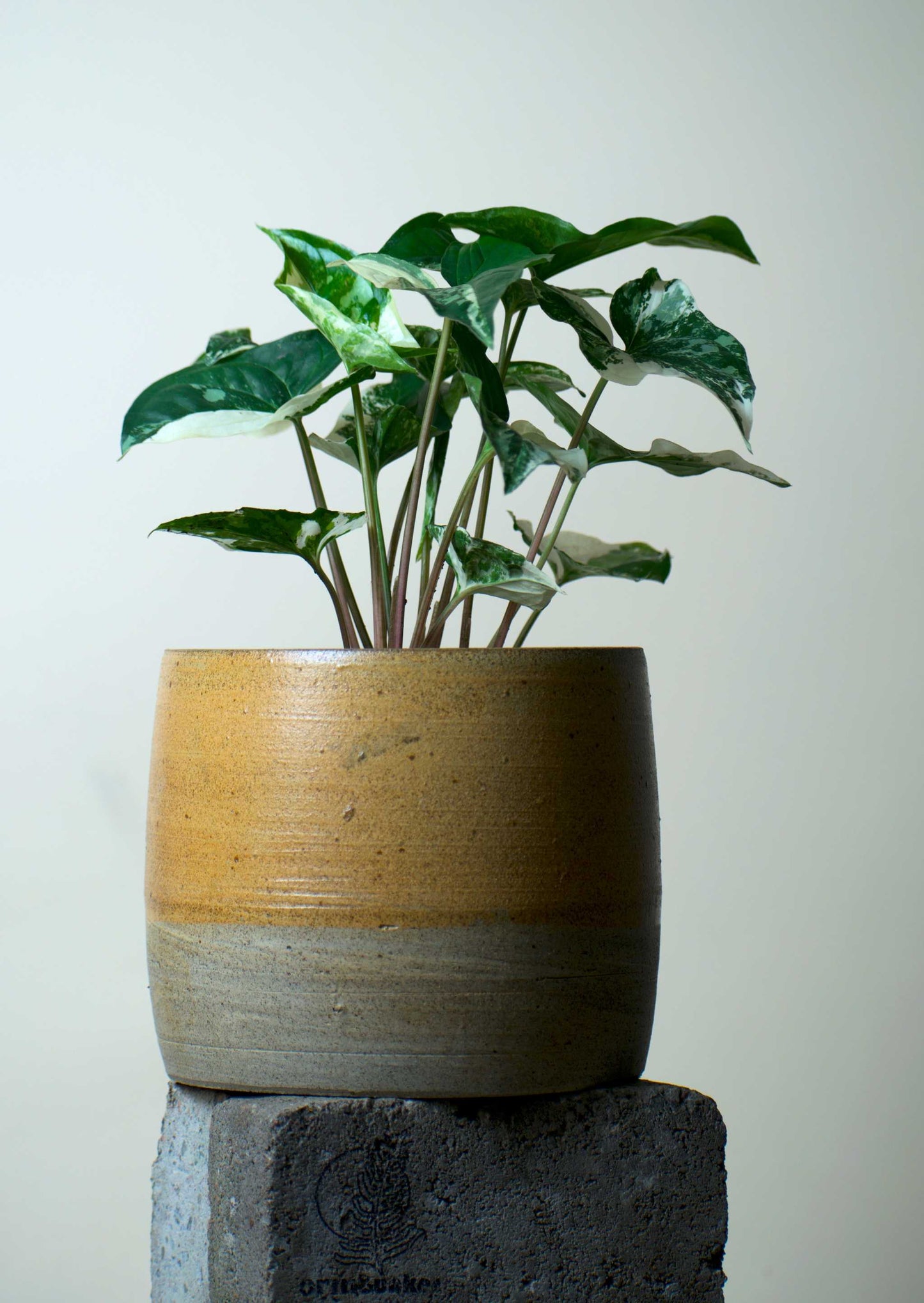Keramiktopf 'Modern Beige' | 12,5 cm | Steinzeugton