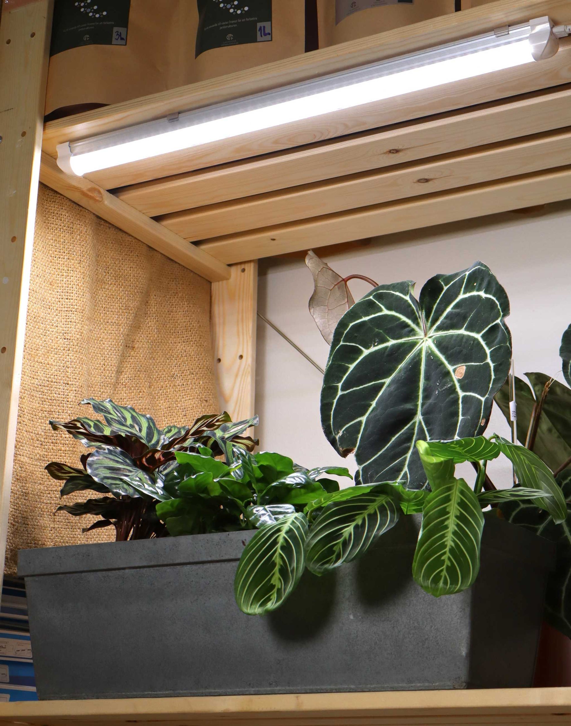plant grow light ikea LED Plant Lighting 60cm