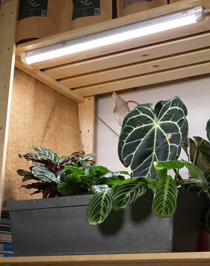 LED Växtbelysning 60cm | 18 W